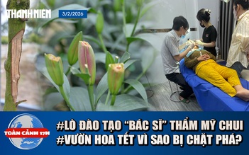 Toàn cảnh 17h: Bên trong lò đào tạo 'bác sĩ' thẩm mỹ siêu tốc | Điêu đứng vườn hoa tết bị phá hoại