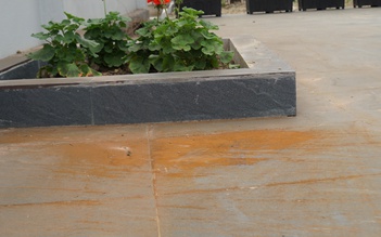 Bụi vàng bủa vây khu dân cư ở Hải Phòng