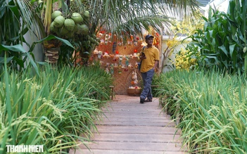 Sân nhà thờ ngay trung tâm TP.HCM bỗng hóa đồng quê miền Tây đón Tết Bính Ngọ