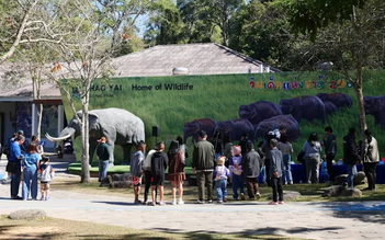 Voi rừng liên tiếp tấn công chết người ở Thái Lan