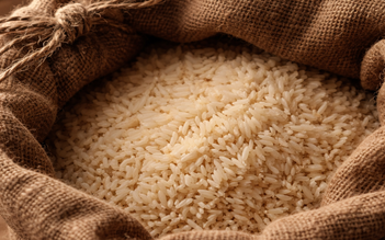 Cơm nấu từ gạo mới và gạo cũ, loại nào làm đường huyết tăng nhanh hơn?
