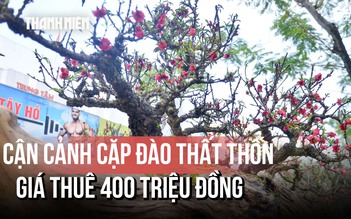 Xem cặp đào thất thốn 'dáng rừng' giá thuê hàng trăm triệu đồng tại Hà Nội
