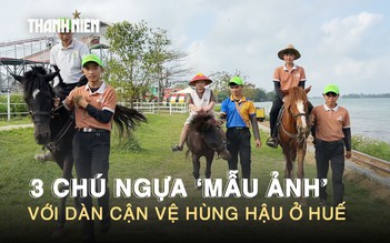 Chuyện 3 chú ngựa ‘mẫu ảnh’ ăn uống sang chảnh với dàn cận vệ hùng hậu ở Huế