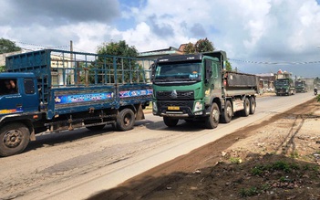 Đà Nẵng tạm dừng hoạt động một số loại xe tải trong ngày bầu cử