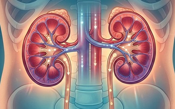 Suy thận giai đoạn đầu: vì sao thường không có triệu chứng?