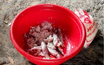 Bác sĩ 24/7: Botulinum thường xuất hiện trong những thực phẩm nào, cách phòng tránh ra sao?