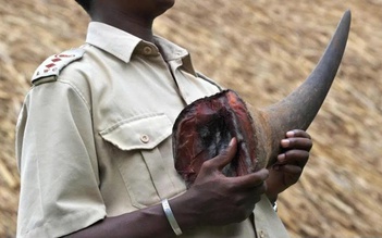 'Đại gia kim cương' Chu Đăng Khoa bị bắt tại Nam Phi