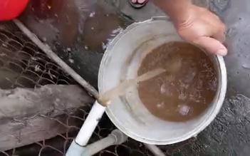 Vụ nước sinh hoạt ở Đồng Tháp đục ngầu: Chính quyền xã báo cáo gì?