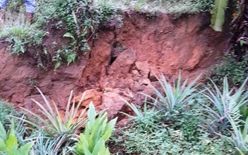 Đà Nẵng: Sườn đồi nứt toác kéo dài 500 m, đe dọa 60 hộ dân