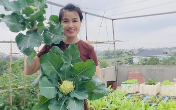 Khu vườn 'mùa nào thức ấy' xanh mướt trên sân thượng