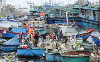 Bầu cử Quốc hội: Gia Lai vận động ngư dân dừng ra khơi để tham gia bầu cử