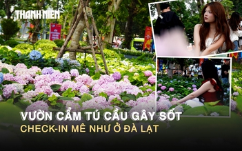 Vườn cẩm tú cầu gây sốt ở trung tâm TP.HCM, check-in mê như ở Đà Lạt