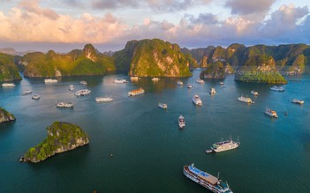 Lắp 10 điểm Starlink phủ sóng internet trên vịnh Hạ Long