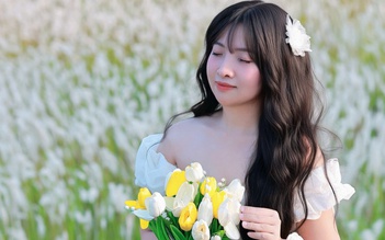 Cánh đồng cỏ lau nở trắng xóa khiến nhiều người mê mẩn check-in