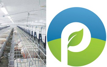 Công ty CP Procimex Việt Nam: Cải tiến công nghệ, nâng cao chất lượng dịch vụ