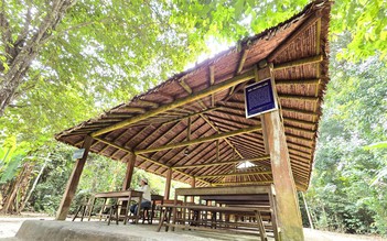 Di tích Căn cứ Trung ương Cục miền Nam: Huyền diệu dưới tán rừng Rùm Đuôn