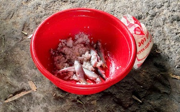 Nguy cơ Botulinum từ cá ủ chua ở Đà Nẵng, cơ quan chức năng siết kiểm soát