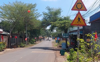 Tàn cây che khuất tầm nhìn