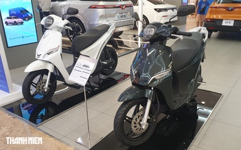 5 thị trường xe máy điện lớn nhất thế giới, Việt Nam góp mặt