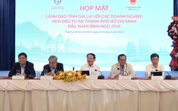 Gia Lai hứa hoàn tất thủ tục đầu tư vào khu công nghiệp chỉ 38 ngày