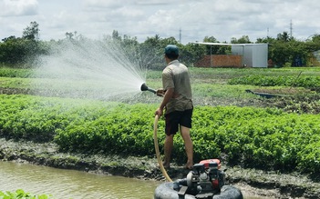 Vì sao 1 tấn lúa sử dụng gần 5.000 mét khối nước?