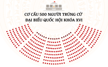 Cơ cấu, trình độ 500 người trúng cử đại biểu Quốc hội khóa XVI