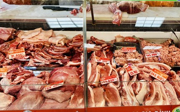 Giá heo hơi hôm nay 24.3.2026: Biến động trái chiều
