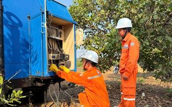 PC Quảng Ngãi đảm bảo cấp điện lễ khởi công 5 trường nội trú liên cấp