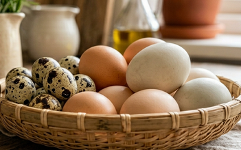 Trứng vịt, trứng gà và trứng cút: loại nào bổ dưỡng hơn?