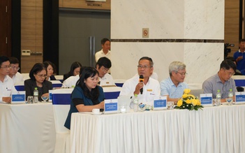 Ngành điện TP.HCM chuẩn bị sẵn các kịch bản ứng phó với điện mùa khô