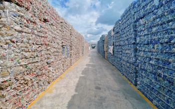 Xuất khẩu vào EU lại khó vì bao bì