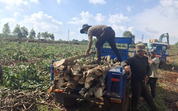 Đẩy nhanh tiến độ giải phóng mặt bằng dự án cao tốc Quy Nhơn - Pleiku