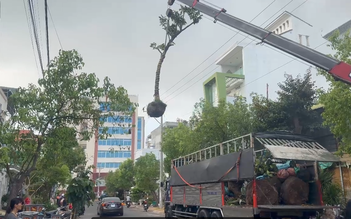 Lâm Đồng: Xe tải gắn cẩu va vào lưới điện 3 pha, tài xế tử vong