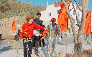 Tập đoàn BRG trồng gần 1,1 triệu cây xanh - Khẳng định trách nhiệm với cộng đồng