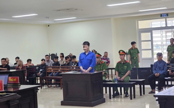 Ném gạch khiến bạn tử vong, nam sinh lãnh 9 năm tù