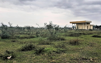 Sân vận động thi công dang dở rồi bỏ hoang