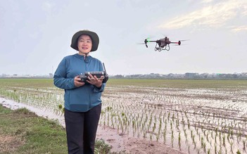 Nữ 'phi công' bảo vệ vựa lúa ở Tiền Hải