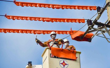 PC Đắk Lắk đảm bảo cấp điện phục vụ bầu cử Quốc hội và HĐND các cấp 