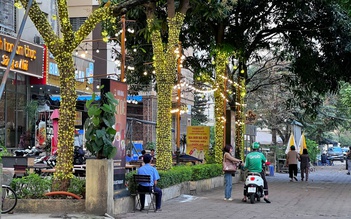 Cận cảnh cây xanh 'gánh' đèn trang trí, biển hiệu ở Hà Nội