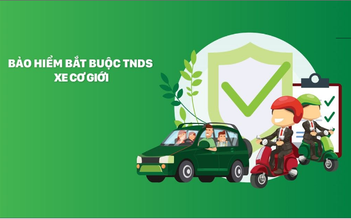 ‘Lưới an sinh’ xuyên biên giới và bài học từ láng giềng