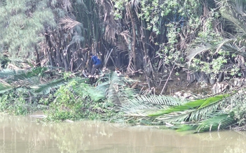 Cắt tỉa cây xanh, dừa nước rồi 'bỏ quên' dưới sông ở TP.HCM gây bức xúc