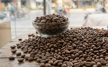 Nghiên cứu phát hiện cách điều trị ung thư, tiểu đường bằng cà phê
