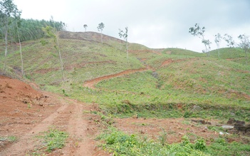 Truông Mây lưu dấu cuộc khởi nghĩa Chàng Lía