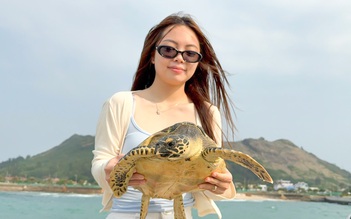 Du khách cùng thả rùa biển quý hiếm mắc 'lưới ma' về đại dương
