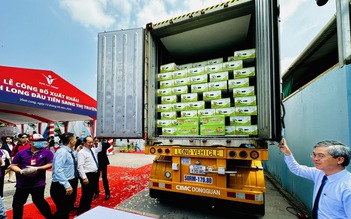 Chính thức bán bưởi da xanh Vĩnh Long vào thị trường Úc