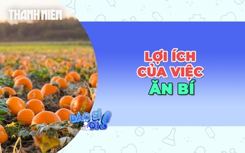 Hiệu quả bất ngờ khi ăn bí