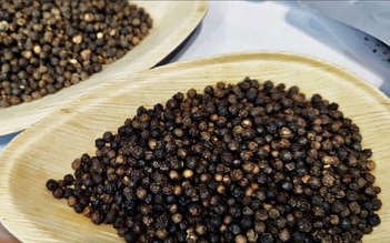 Xuất 20 container hồ tiêu doanh nghiệp thiệt hại 600.000 USD, vì sao?
