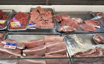 Giá heo hơi hôm nay 15.4.2026: Tiếp tục tăng nhẹ
