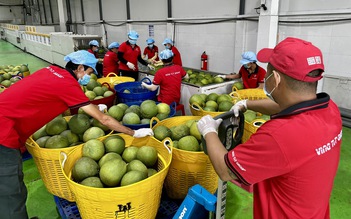 Xuất khẩu rau quả sang Trung Quốc sẽ tăng mạnh