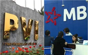 Hàng loạt khoản đầu tư 'bết bát' tại MB và PVI